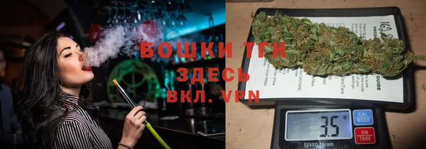прущий лед Абаза