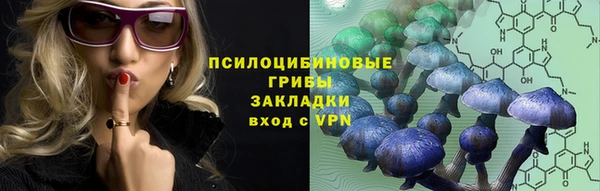 гидра Алексеевка