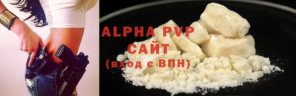 трава Коряжма