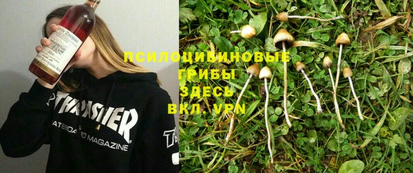 винт Алексин